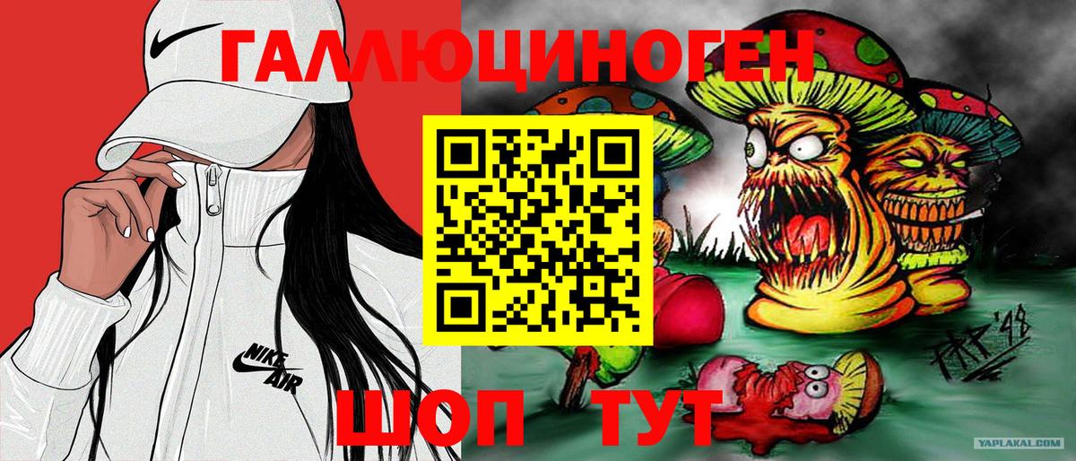 Орехово-Зуево  Псилоцибиновые грибы ЛСД  Вход с VPN  Псилоцибиновые грибы Cubensis 