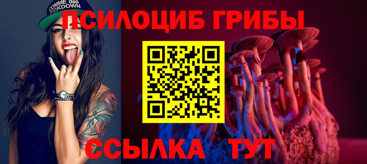 Псилоцибиновые грибы Psilocybe Орехово-Зуево